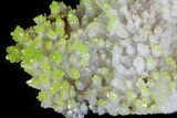 Pyromorphite Crystals on Quartz - China #63699-2